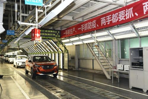 神龍的困境反轉(zhuǎn) 解碼核心業(yè)務(wù)的未來(lái)策略與機(jī)會(huì)